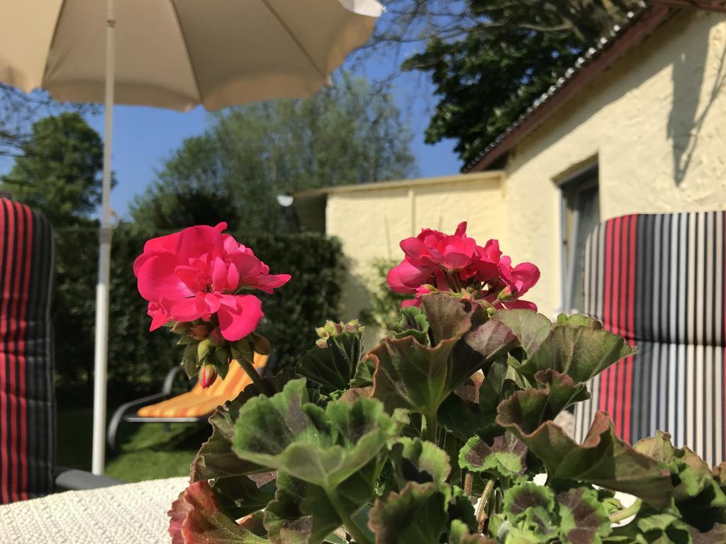 Zum Nordstrand Prerow Buitenkant foto